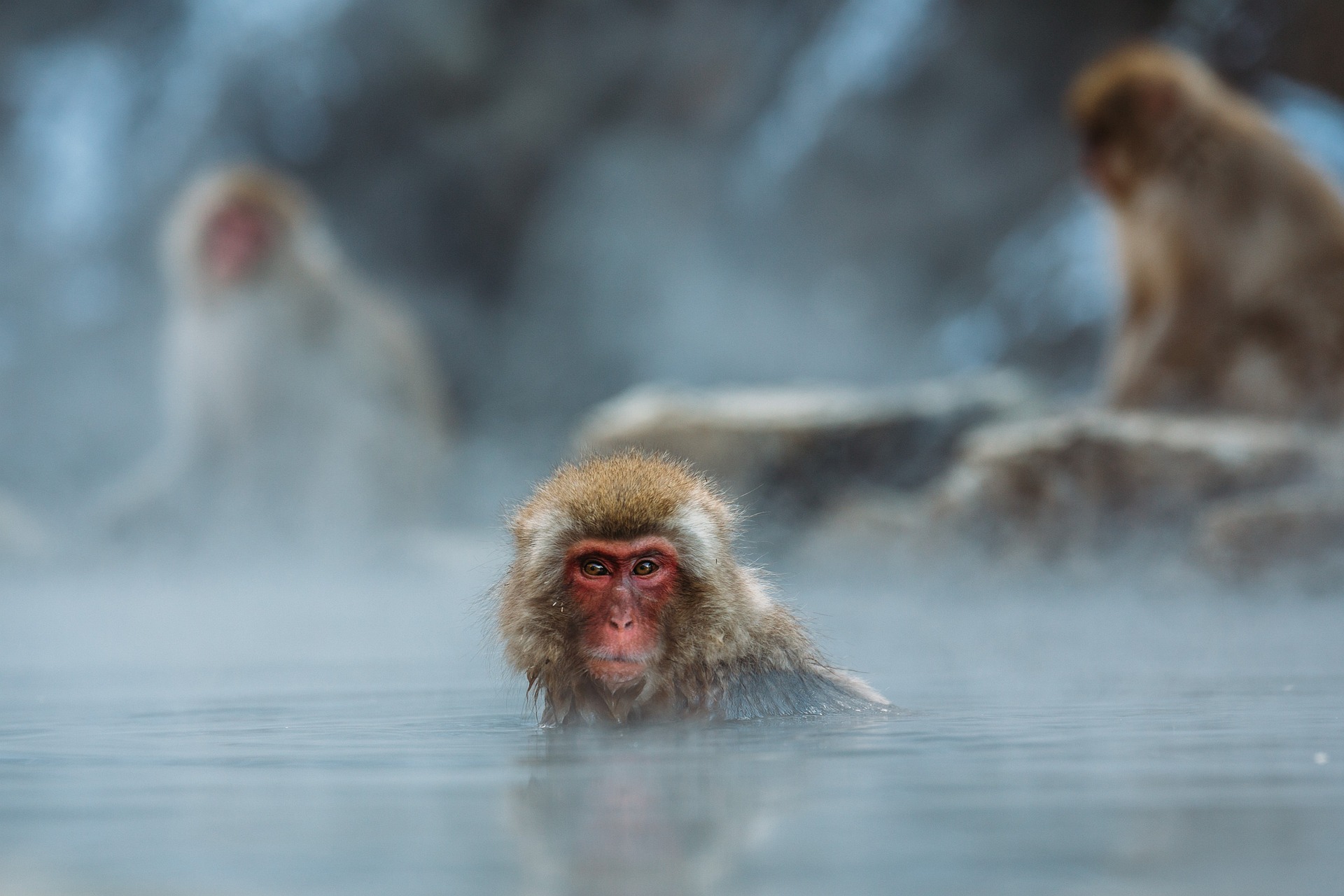 Discover the Best Hot Springs in Japan: Easy Weekend Escapes from Tokyo and Osaka